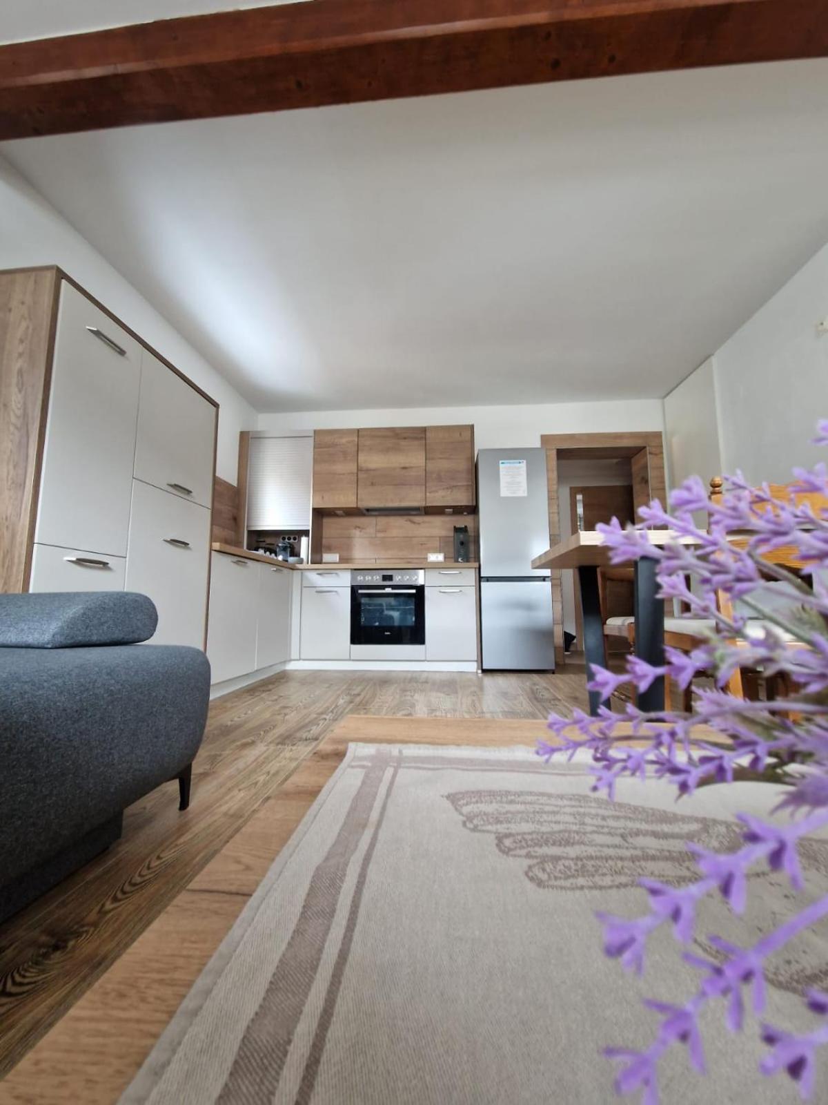 Haus-Ennstal Apartman Oblarn Kültér fotó
